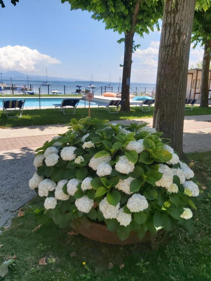 Villaggio Turistico Dei Tigli Паденге-суль-Гарда Екстер'єр фото